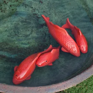 Floating ceramic koi
