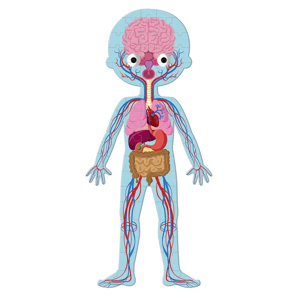 Janod Educational Puzzle Human Body- 4 puzzles