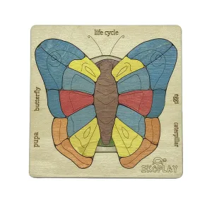 Life cycle of a Butterfly